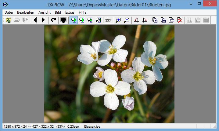 Bildanzeige (Fenster)